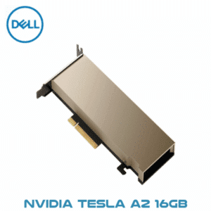 Dell Nvidia Tesla A2 16gb Dubai