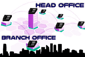 Branch-Office-Phone-Interconnection-Dubai-UAE
